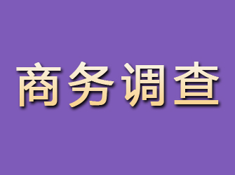 伊川商务调查